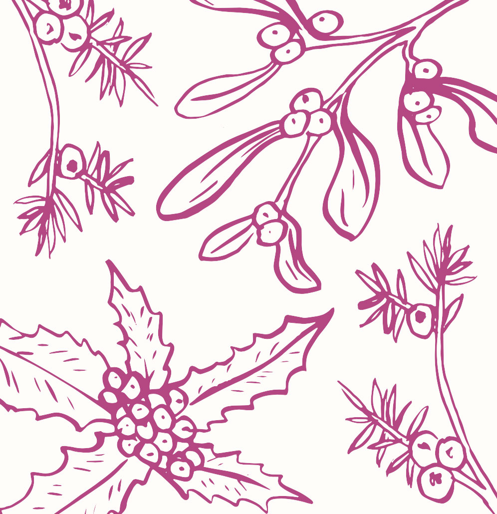 Hand drawn botanical illustrations