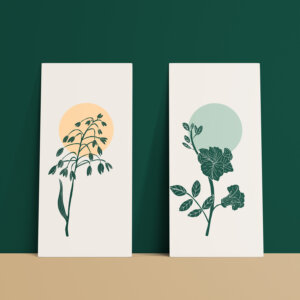 botanical illustrations